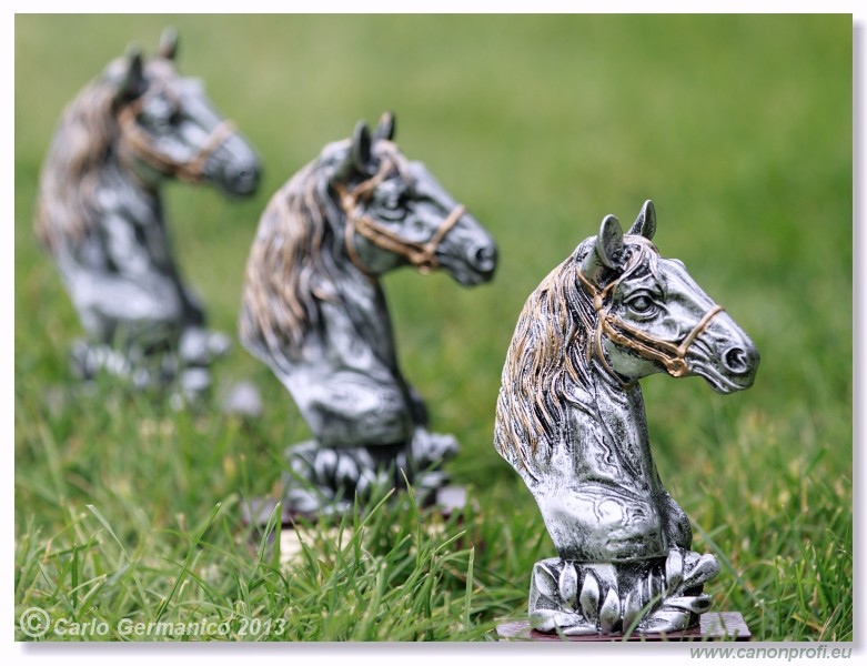 Bratislava - 06. okt�ber 2013 