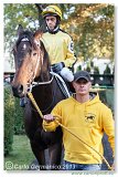 Memoril Dr. Gressnera 