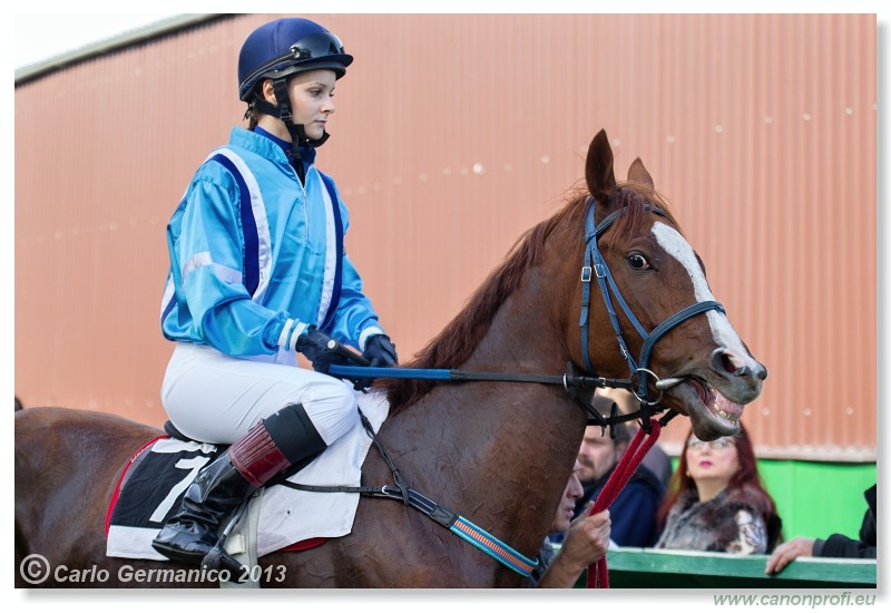 Bratislava - 27. okt�ber 2013 