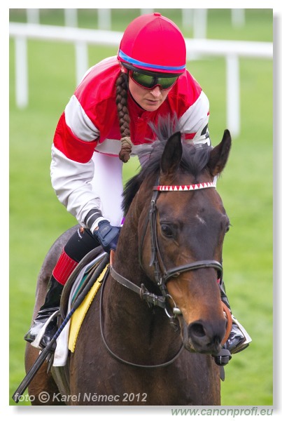 Bratislava - 15. aprla 2012