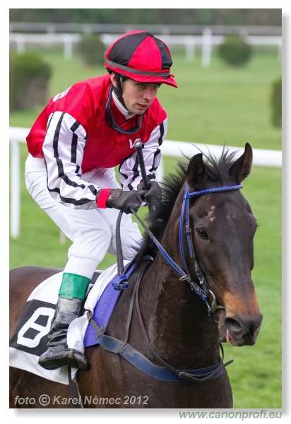 Bratislava - 15. aprla 2012