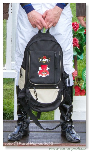 Bratislava - 15. aprla 2012