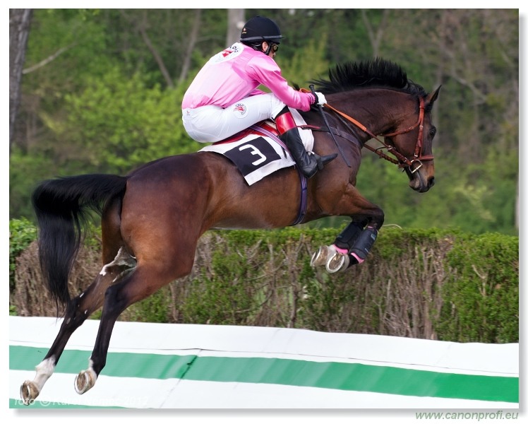 Bratislava - 15. aprla 2012