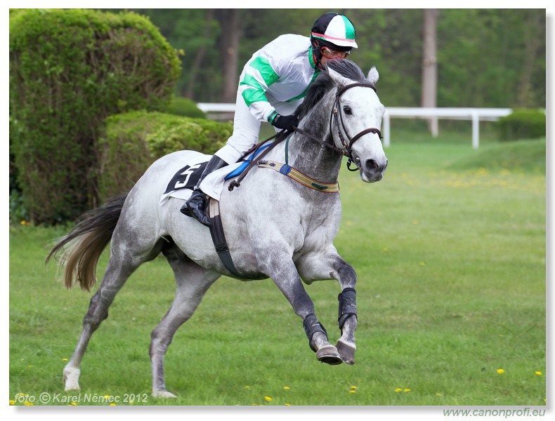 Bratislava - 15. aprla 2012