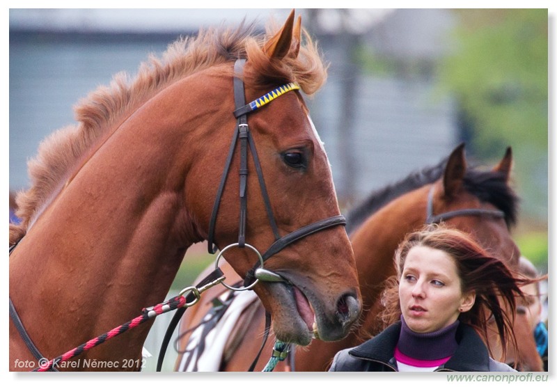 Bratislava - 15. aprla 2012