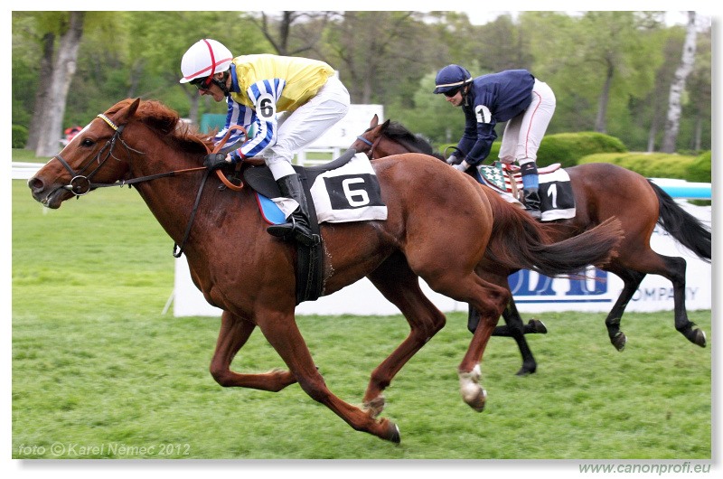 Bratislava - 22. aprla 2012