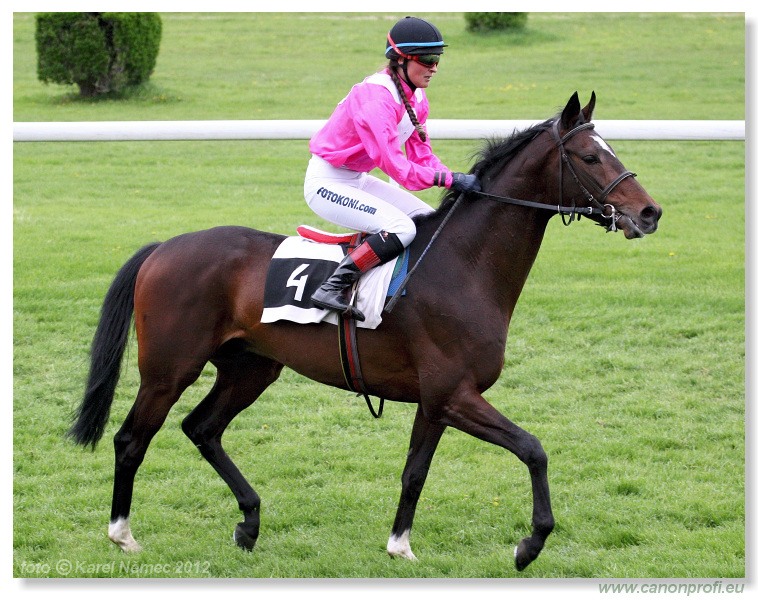 Bratislava - 22. aprla 2012