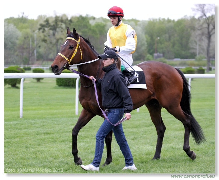 Bratislava - 22. aprla 2012