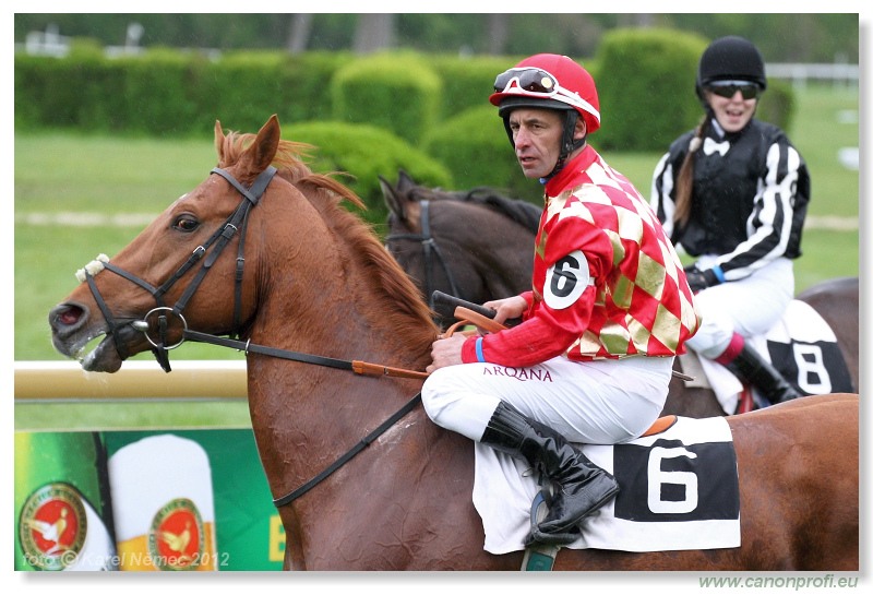 Bratislava - 22. aprla 2012