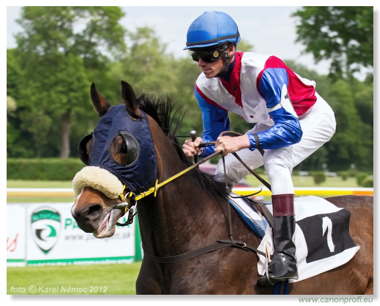 Bratislava - 13. mja 2012