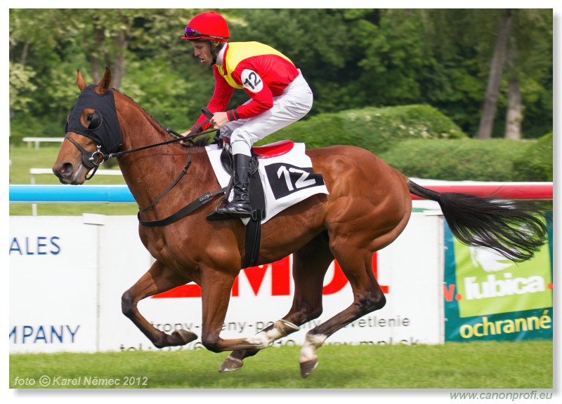 Bratislava - 13. mja 2012