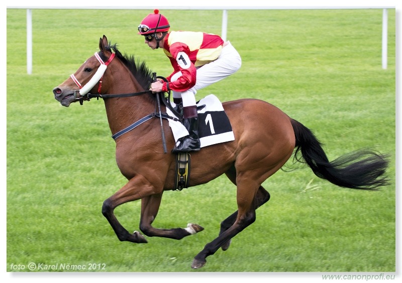 Bratislava - 13. mja 2012