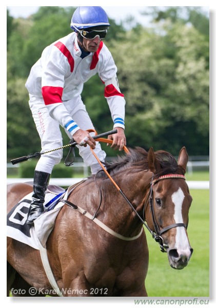 Bratislava - 13. mja 2012