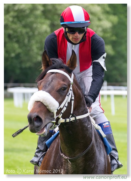 Bratislava - 13. mja 2012