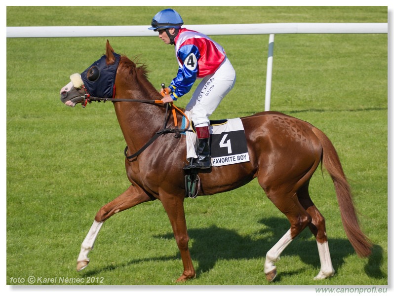 Bratislava - 20. mja 2012