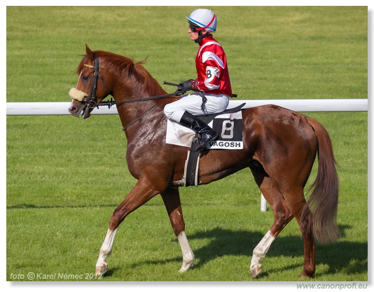 Bratislava - 20. mja 2012