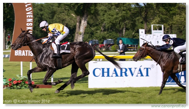 Bratislava - 20. mja 2012