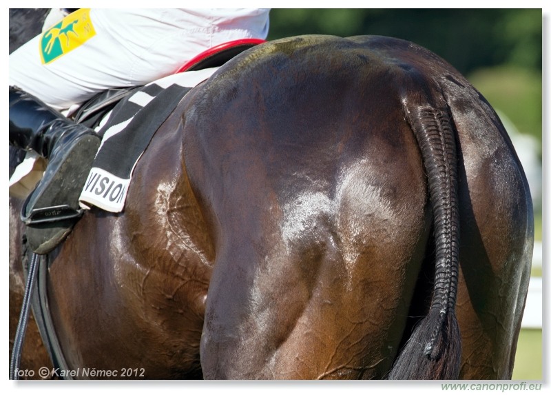 Bratislava - 20. mja 2012