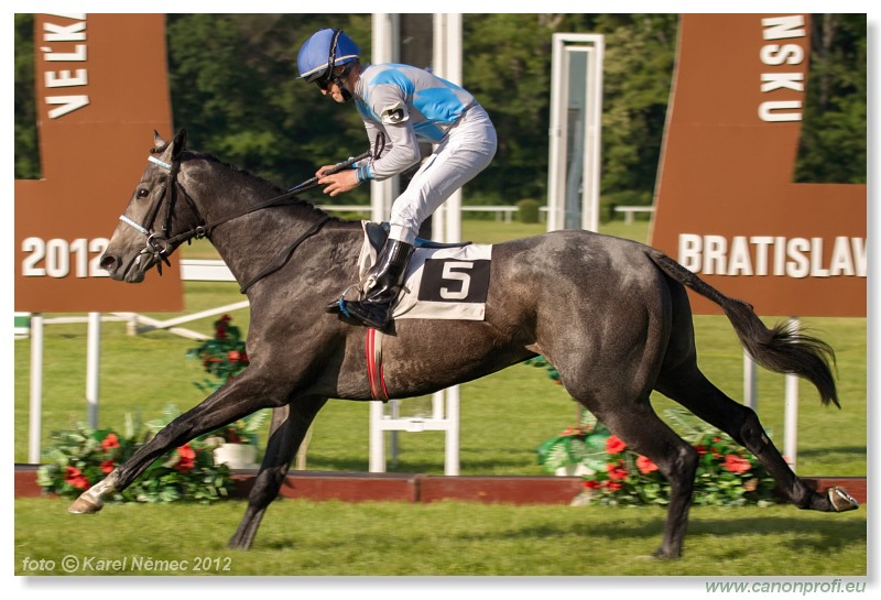 Bratislava - 20. mja 2012