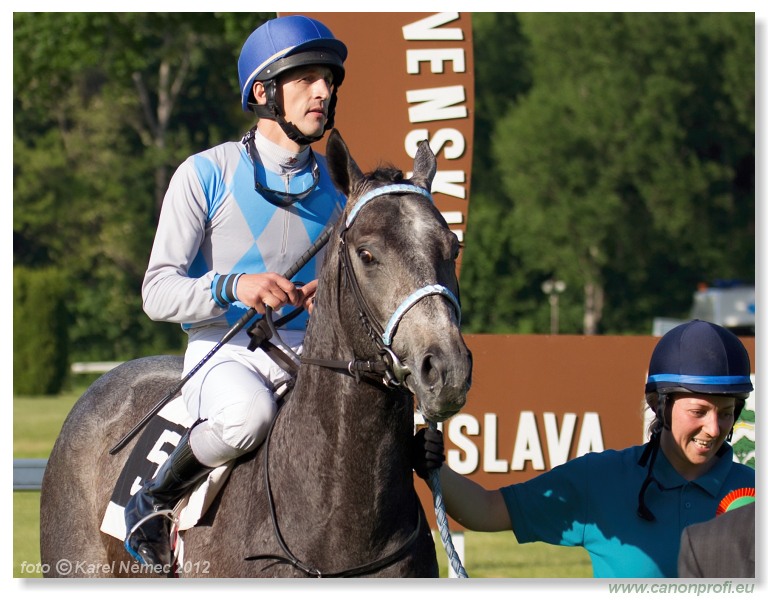 Bratislava - 20. mja 2012