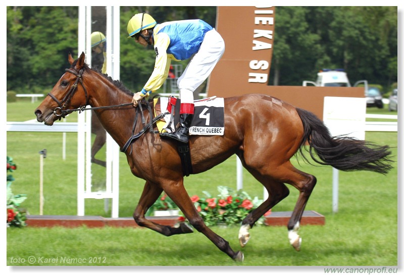 Bratislava - 03. jna 2012