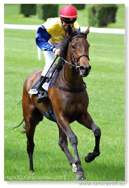 Bratislava - 03. jna 2012