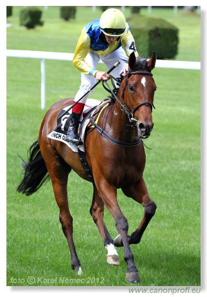 Bratislava - 03. jna 2012