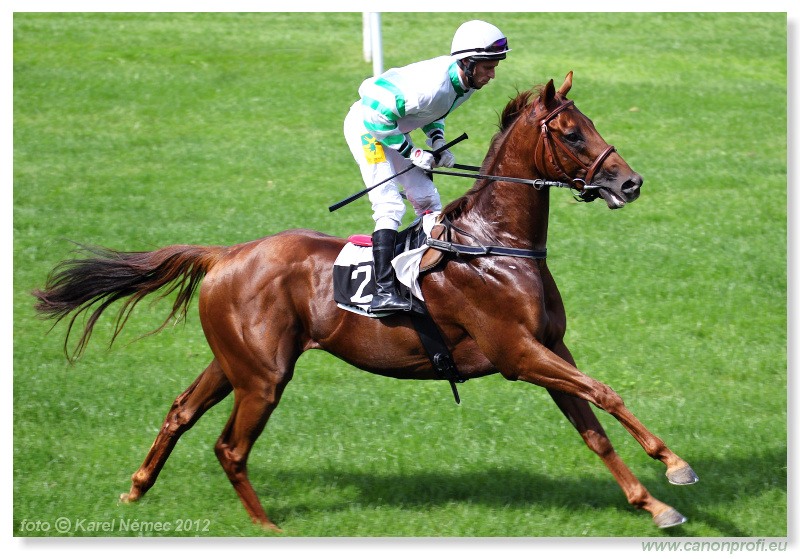 Bratislava - 03. jna 2012