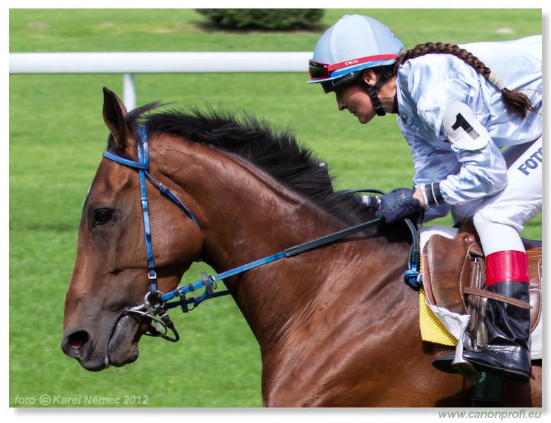 Bratislava - 23. jna 2012