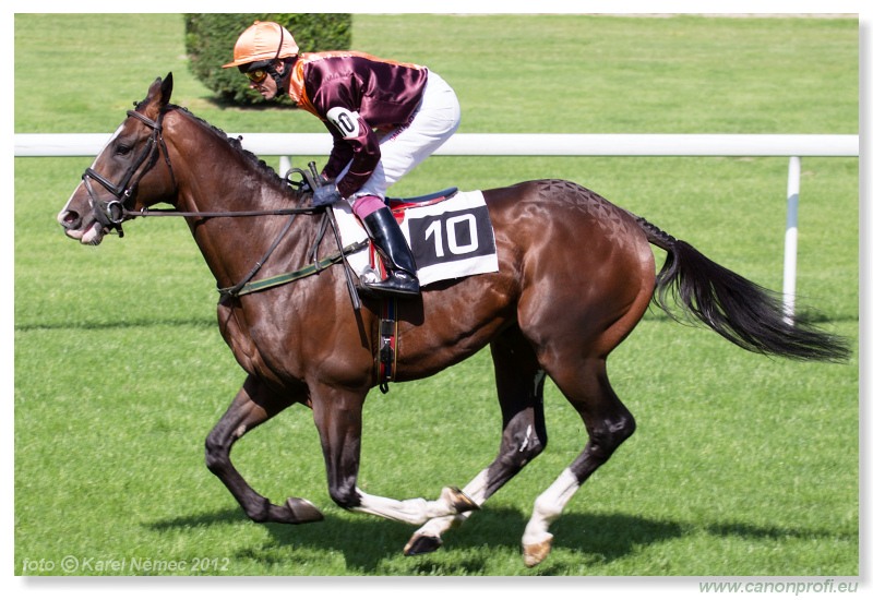 Bratislava - 23. jna 2012