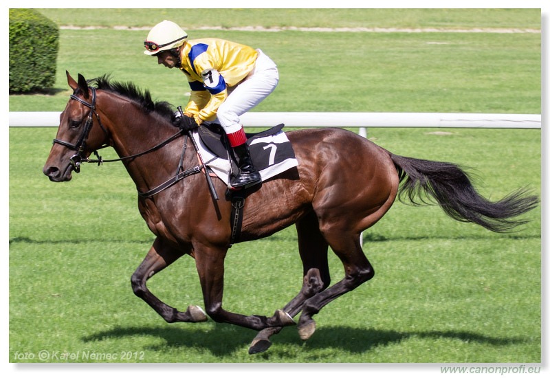 Bratislava - 23. jna 2012