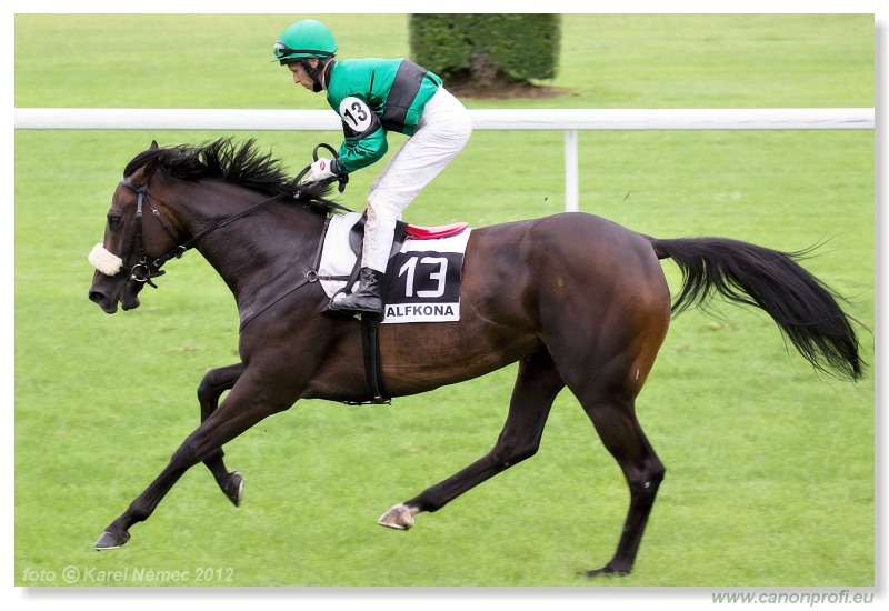 Bratislava - 15. jla 2012