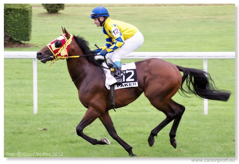 Bratislava - 15. jla 2012