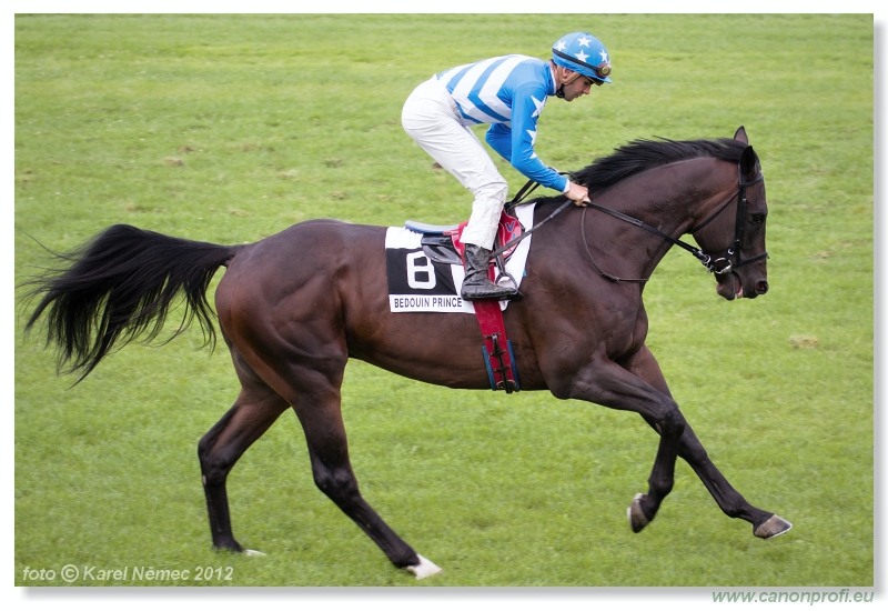 Bratislava - 15. jla 2012