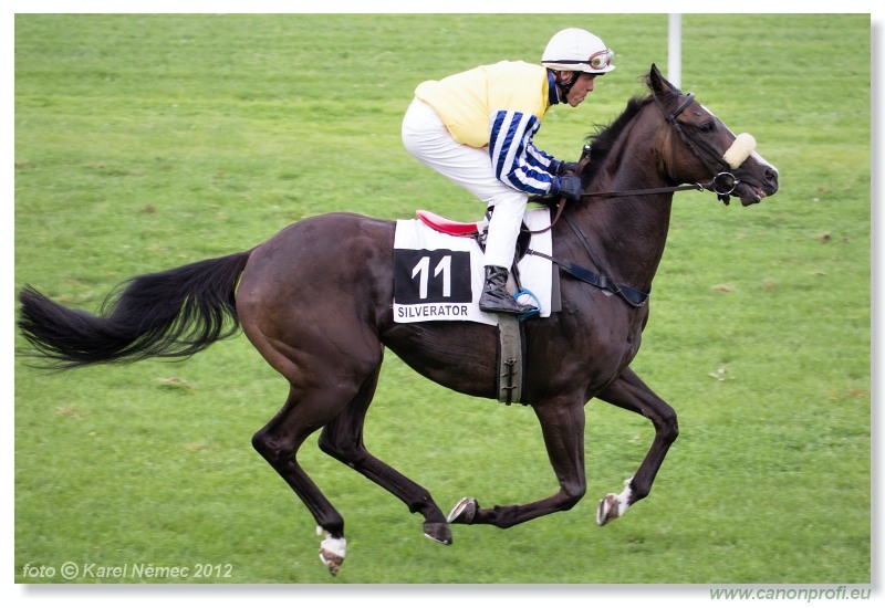 Bratislava - 15. jla 2012