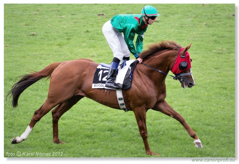 Bratislava - 15. jla 2012