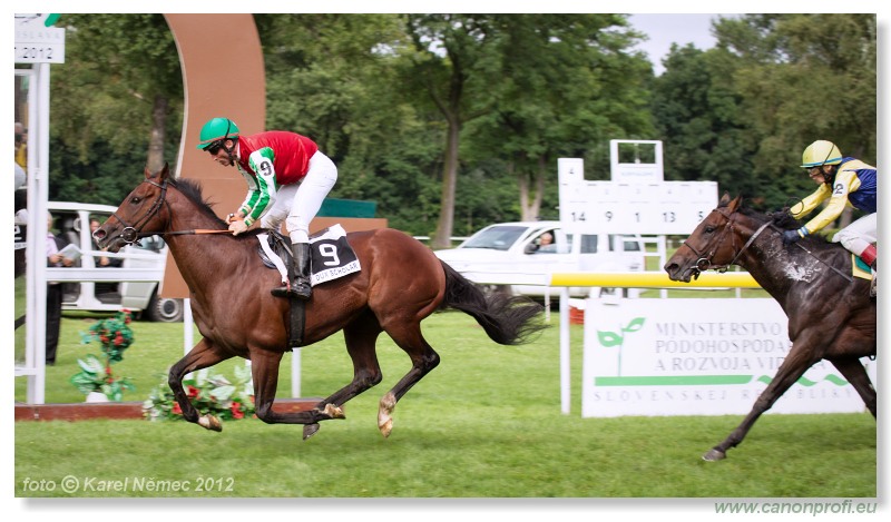 Bratislava - 15. jla 2012