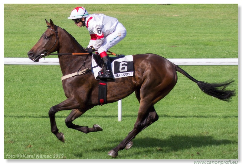 Bratislava - 15. jla 2012