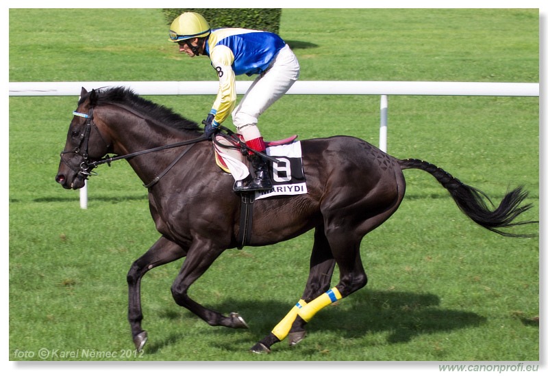 Bratislava - 15. jla 2012