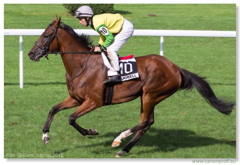 Bratislava - 15. jla 2012