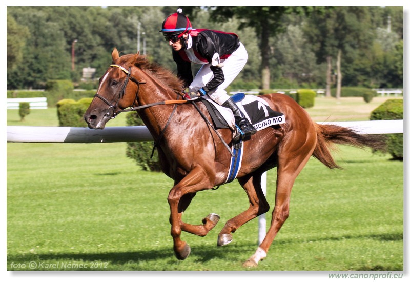 Bratislava - 15. jla 2012