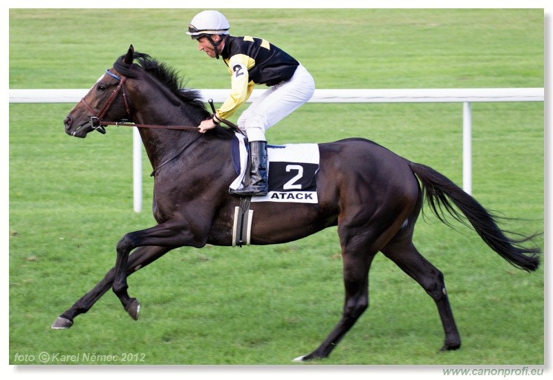 Bratislava - 15. jla 2012