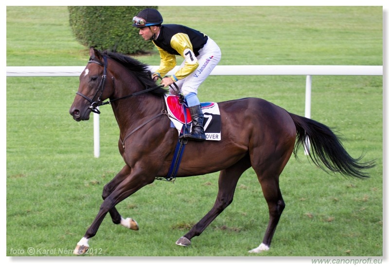 Bratislava - 15. jla 2012