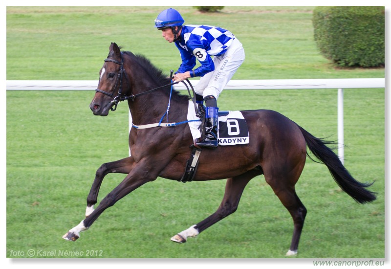 Bratislava - 15. jla 2012