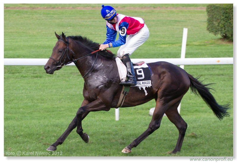 Bratislava - 15. jla 2012