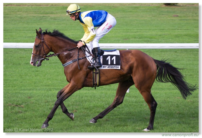 Bratislava - 15. jla 2012