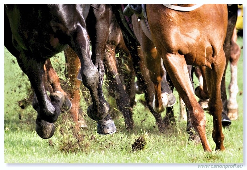 Bratislava - 15. jla 2012