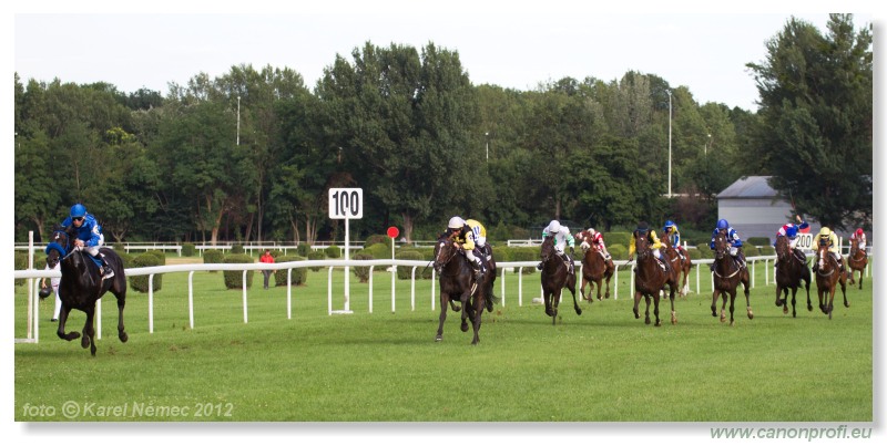 Bratislava - 15. jla 2012