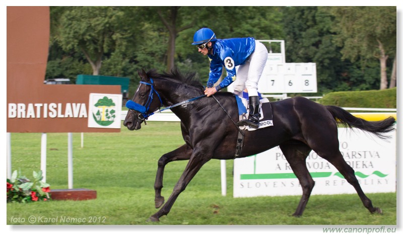 Bratislava - 15. jla 2012
