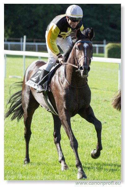 Bratislava - 15. jla 2012